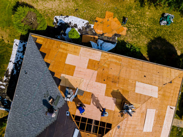 Best Roof Repair Services  in Wilsonville, AL