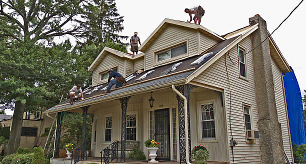 Best Storm Damage Roof Repair  in Wilsonville, AL